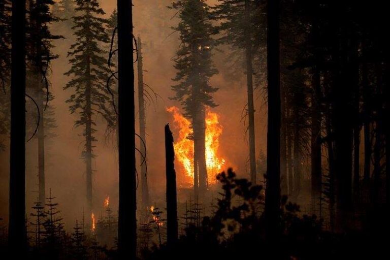 Canadians fighting California fires getting relief crews, but some headed to Oregon