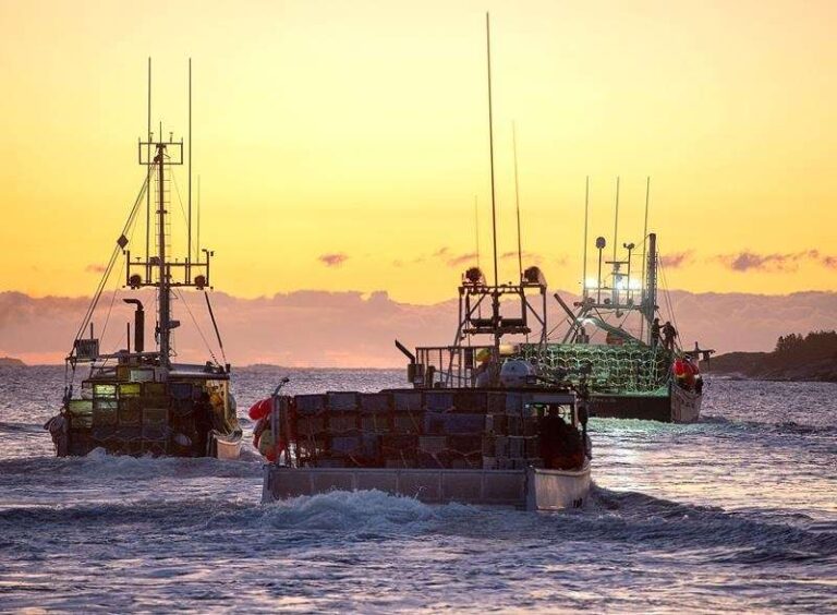 Nova Scotia First Nation launches lobster fleet amid tension on the water