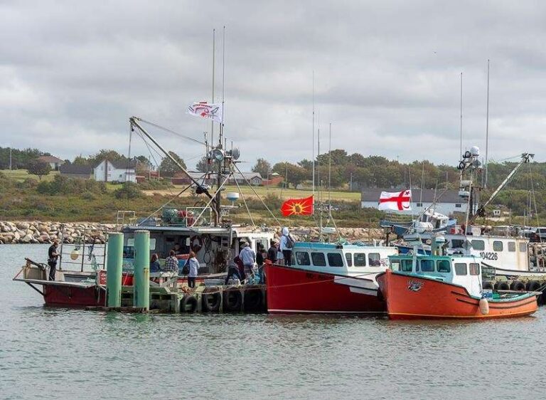 Lobster protests: Nova Scotia RCMP arrest two at wharf in Weymouth