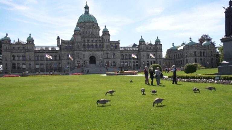 One week in, B.C.’s election still stuck in first gear