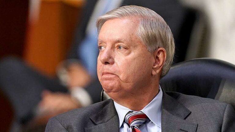Lindsey Graham: If Trump concedes election, Republicans will ‘never’ elect another president