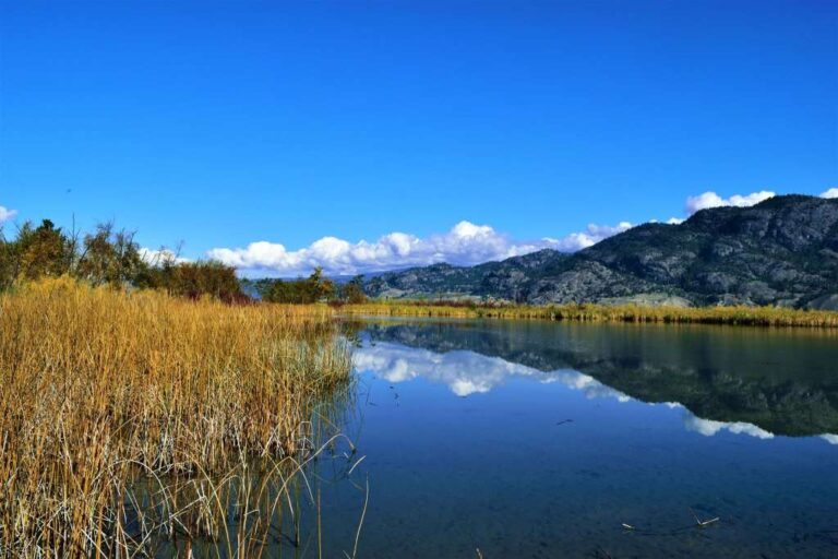 Okanagan community rallies to save ‘gem of Kaleden’ from development