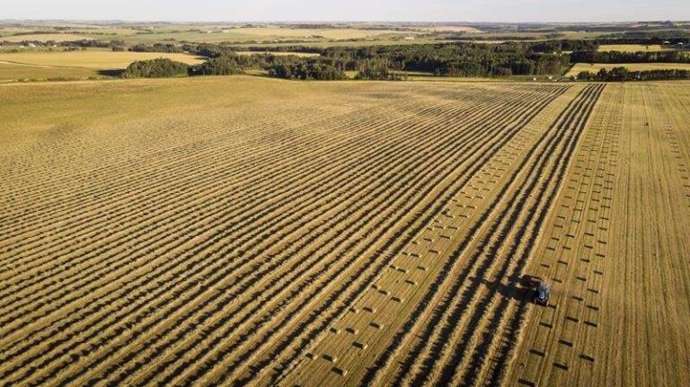 Federal scientists predict Prairie climate as drier, grassier and fiery