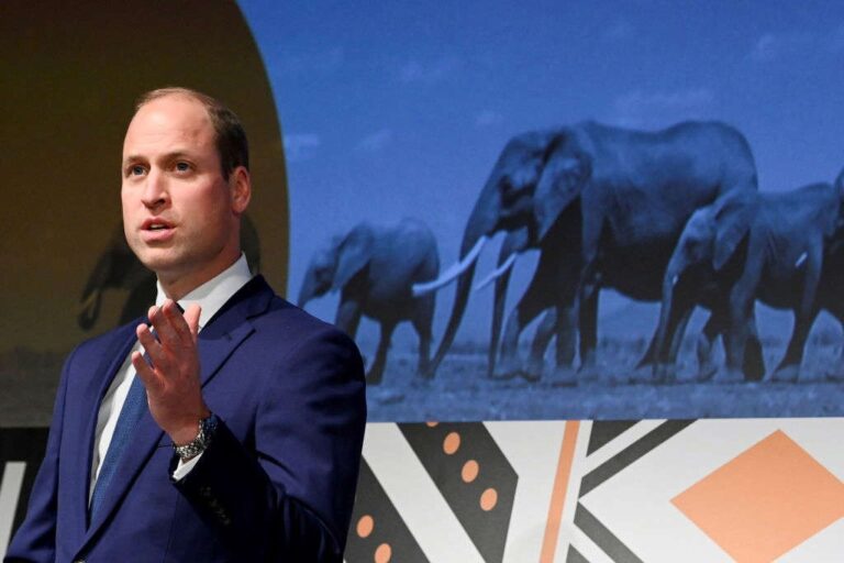 Prince William’s remarks about African population condemned by critics
