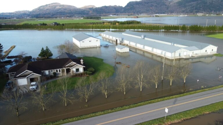 ‘Stay safe, all’: Astronaut shares NASA photo of B.C. flooding as seen from space