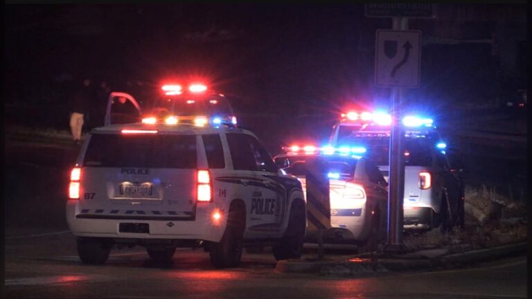 Multiple pedestrians struck in west London, Ont.