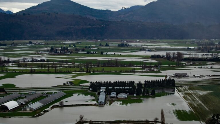 ‘Initial’ $5B in federal flood disaster relief welcomed by B.C. government