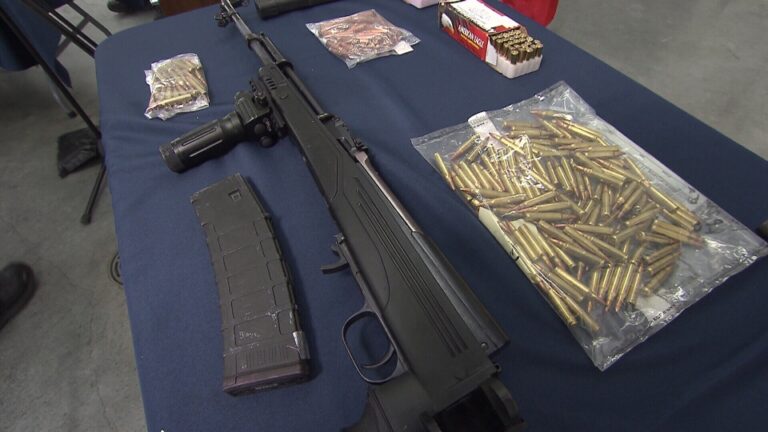 Guns, drugs, bullets, body armour: Two arrested in Langley