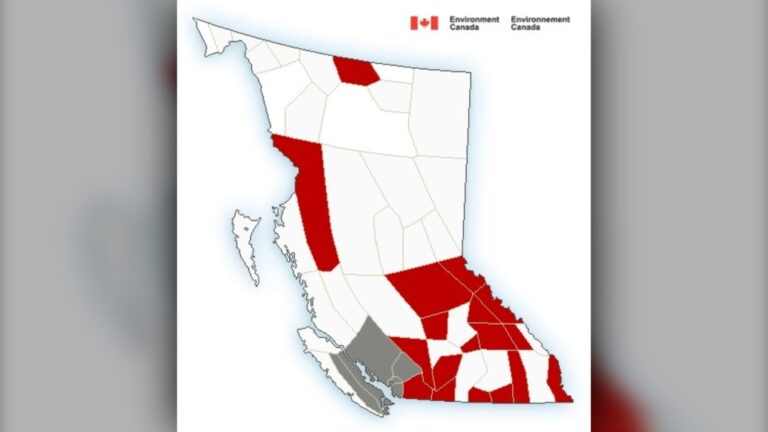 Frigid temperatures to blanket B.C. through next week, Environment Canada warns