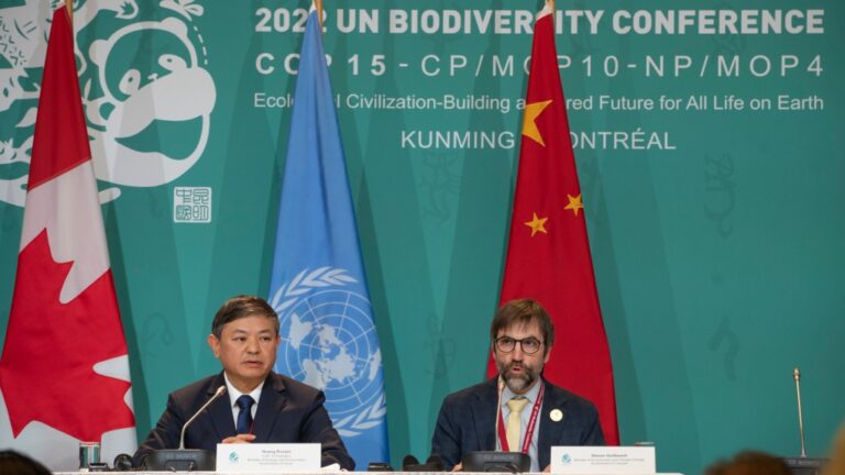 COP15 negotiators heading towards a global nature deal, environment minister says