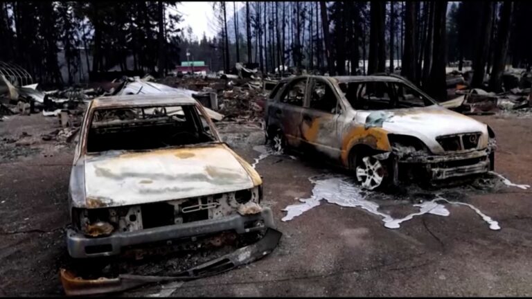 One-third of all structures on B.C. First Nation destroyed by Bush Creek East wildfire