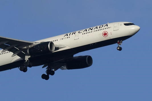 AA1i419p