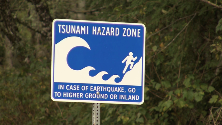 Do you know what to do if a tsunami hits B.C.? Province issues annual reminder to be prepared